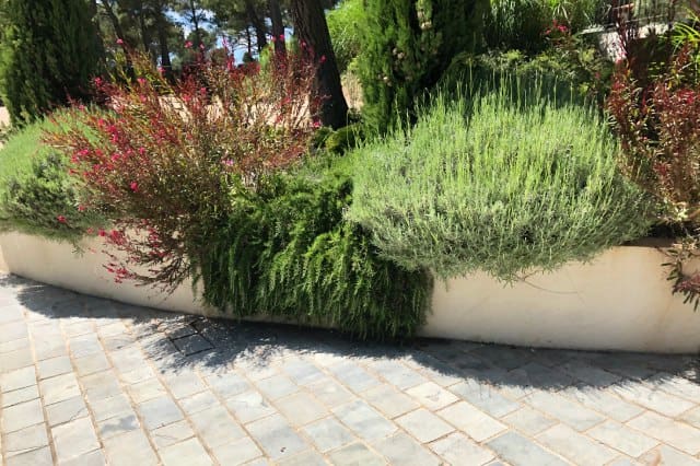 Agence M Com Marseille Sud Amenagement Paysage Aubagne Amenagement Exterieur creation conception plantation massif paysager