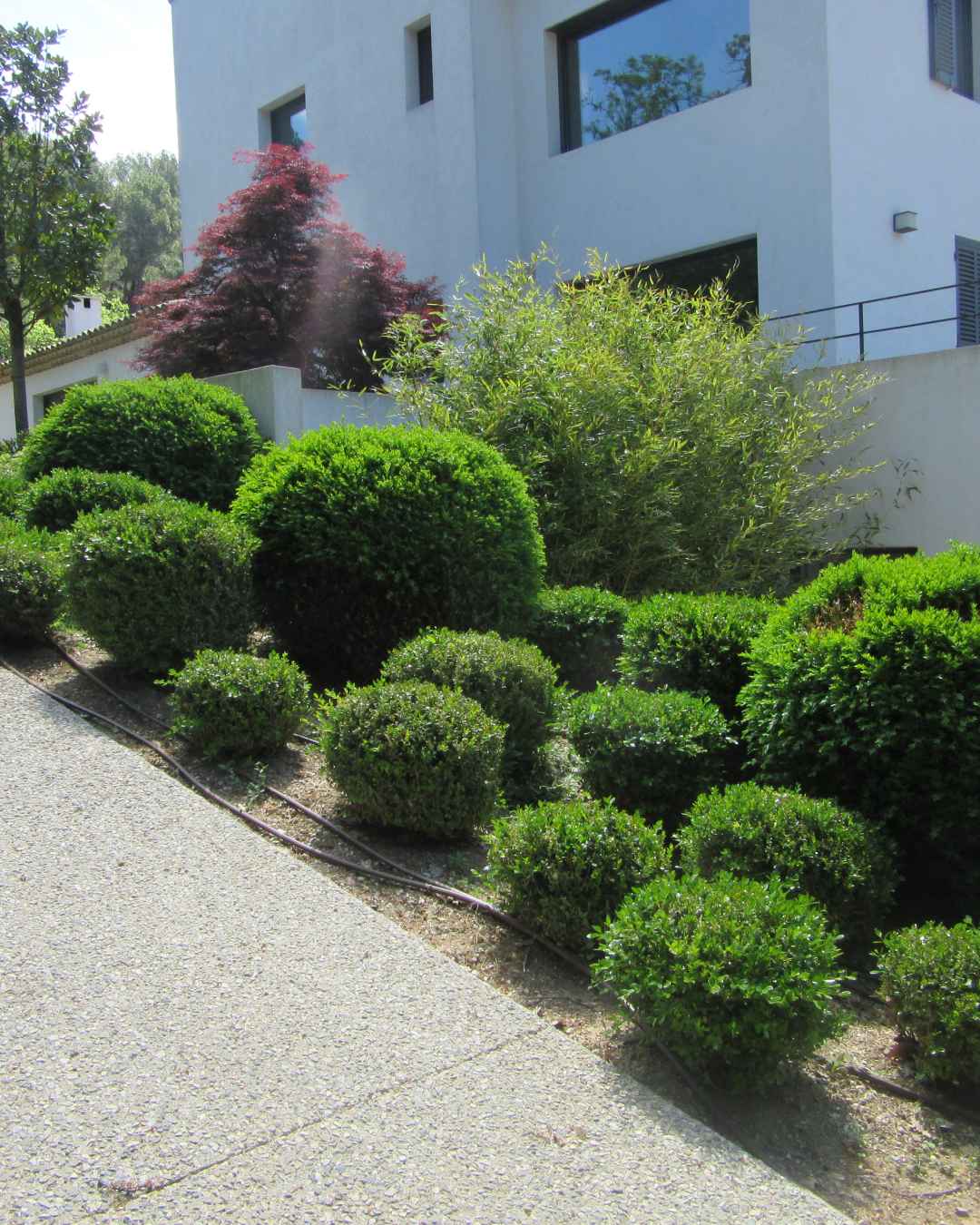 Agence M Com Marseille Sud Amenagement Paysage Aubagne Amenagement Exterieur entretien jardin espace vert buissons