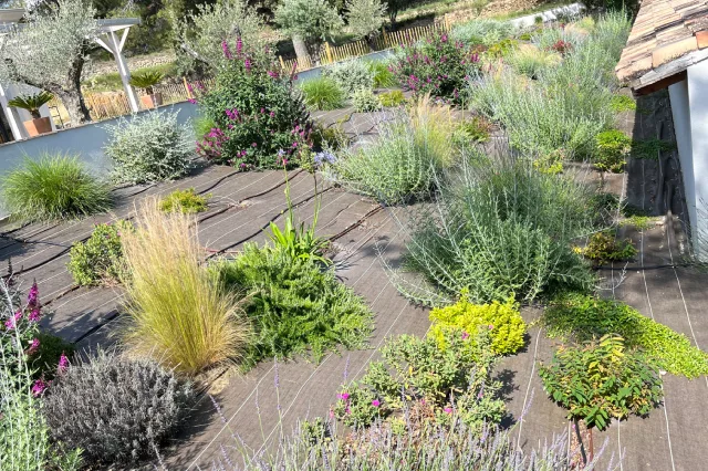 Agence M Com Marseille Sud Amenagement Paysage Aubagne Amenagement Exterieur creation jardin espace vert plantation massif paysager