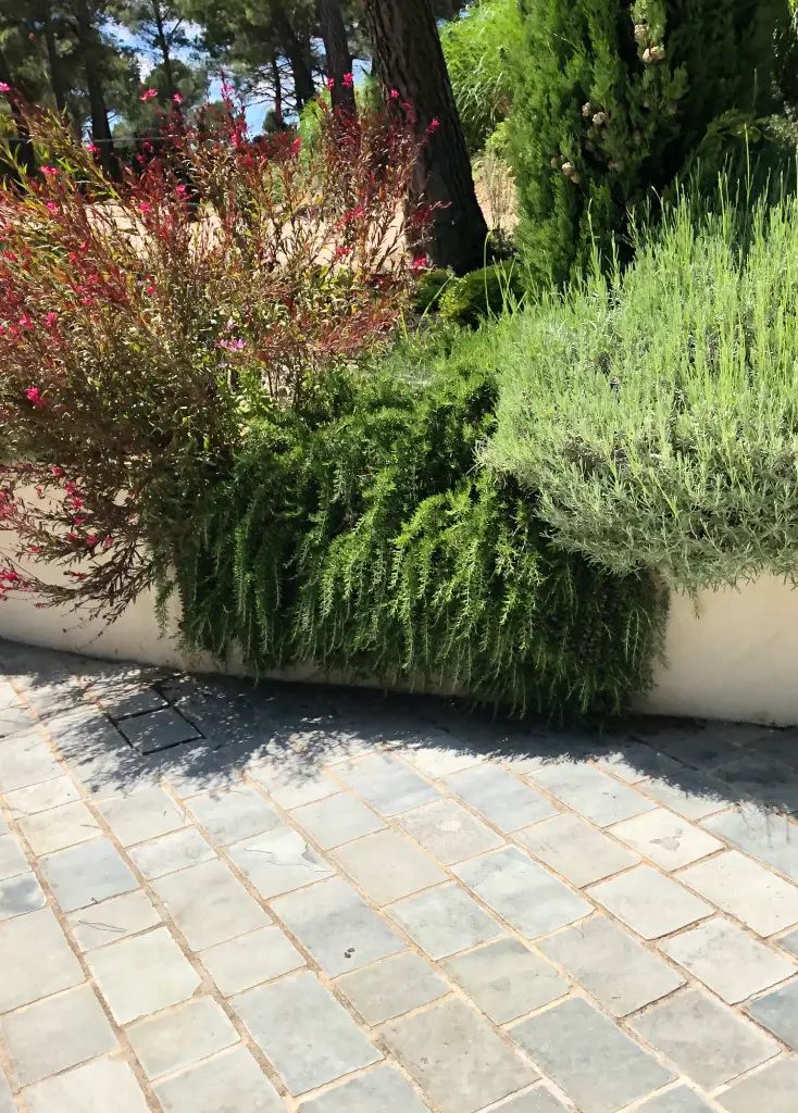Agence M Com Marseille Sud Amenagement Paysage Aubagne Amenagement Exterieur muret plantation massif paysager 1